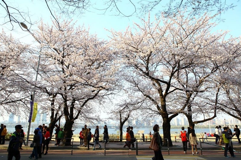 Nha Trang - Incheon (Nghỉ đêm trên máy bay)